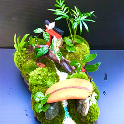 苔盆景(苔島三遊志) 5枚目の画像
