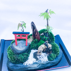 苔盆栽(苔島山モミジにある臥龍出山) 2枚目の画像