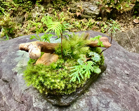 苔島三頭一体(三境楽林) 2枚目の画像