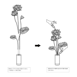 AROMA PLANT (AUGUSTA) /アロマディフューザー/蓮 4枚目の画像