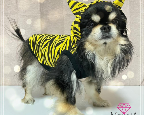 1_580d01731c9f009ad8122b007926