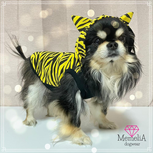 再販❗️】ダックス用犬服あんまりそわそわしないで〜❣️虎柄ラム