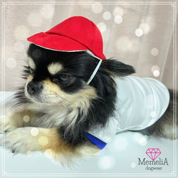 イタグレ用犬服】愛が溢れちゃう♡ハートまみれのらぶトレーナー