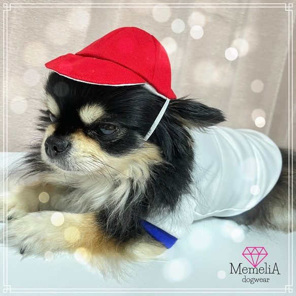 小型犬用犬服】家族で元気に運動会!!体操服ジャージ⭐︎ ペット服