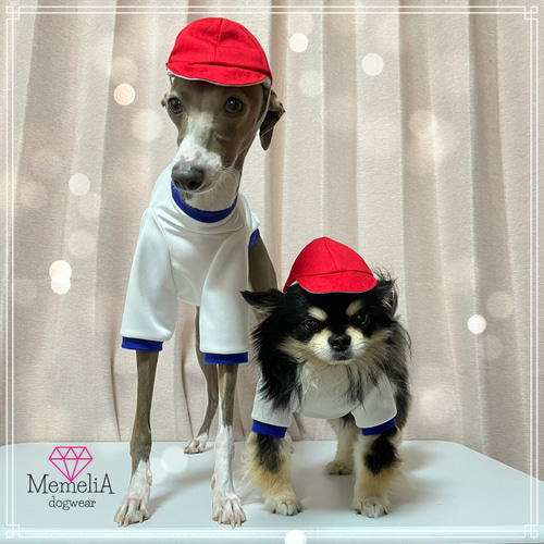 小型犬用犬服】家族で元気に運動会!!体操服ジャージ⭐︎ ペット服