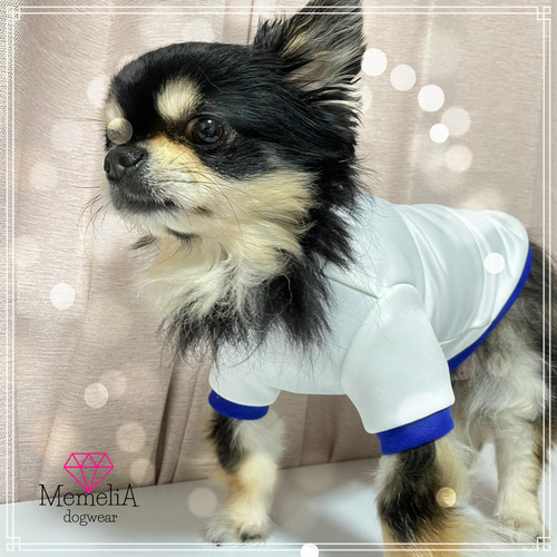 犬服ハンドメイド タンクトップ(あんず様 専用2) オンライン