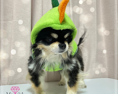 イタグレ用犬服】可愛い怪獣が現れた！もこもこ恐竜着ぐるみフリース