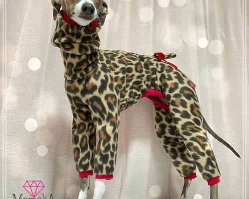 0_e353110026eebb6a7e4e08fb1af9