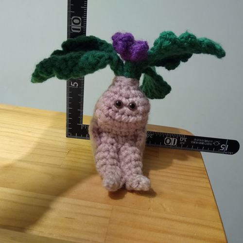 座るマンドラゴラ あみぐるみ（ナス科？ マンドレイク？）【定形外送料