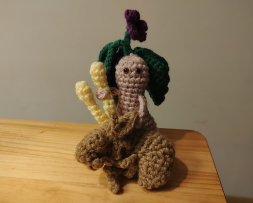 冬虫夏草とマンドラゴラ あみぐるみ（ナス科？ マンドレイク？）【定形