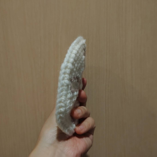 スカシカシパンの骨的なやつ【定形外送料込】 あみぐるみ ぱら