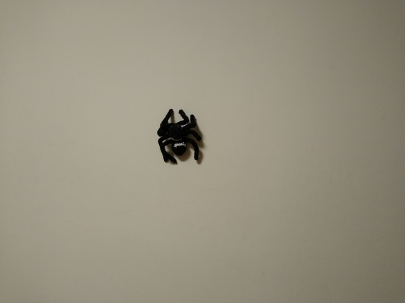 【定形外送料込】アダンソンハエトリ その２ あみぐるみ（蜘蛛・ハエトリグモ） 2枚目の画像