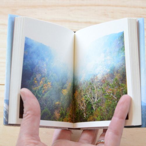山の豆本 vol.2 八ヶ岳 ZINE・小冊子 mt.souvenir 通販 11649231