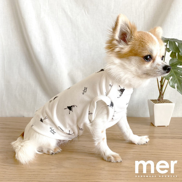 ハンドメイド 犬服 Sサイズ 小型犬 Tシャツ バレリーナ リメイク【ホワイト】 4枚目の画像
