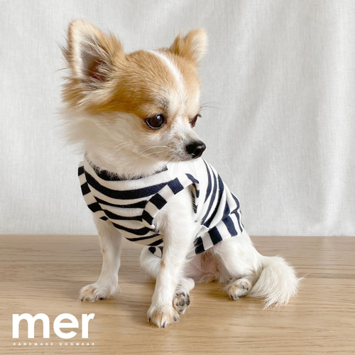犬服 犬の服 ハンドメイド ダックスちゃん❤︎ サイズ／ 価格 ❤︎ ハンドメイド 犬服 犬の服