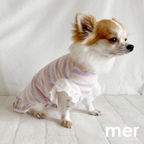 犬服⭐︎ハンドメイド♡ボーダーワンピース 犬服ハンドメイドボーダーリブワンピ