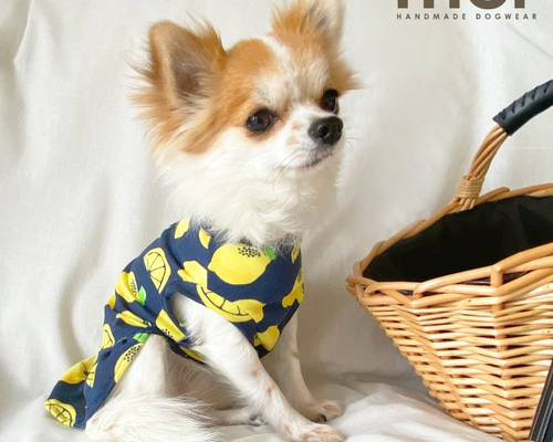 もっち犬服ハンドメイドワンピース もっち様☆犬服☆ハンドメイドオーダー - メルカリ