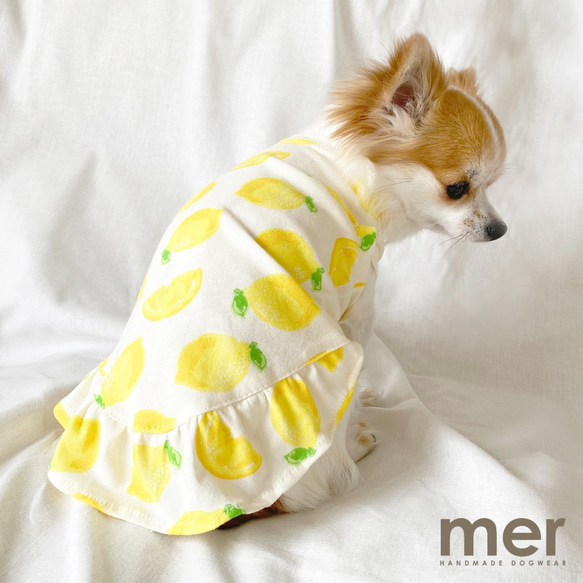 ハンドメイド犬服(sサイズ) ハンドメイド犬服 ワンピース Sサイズ