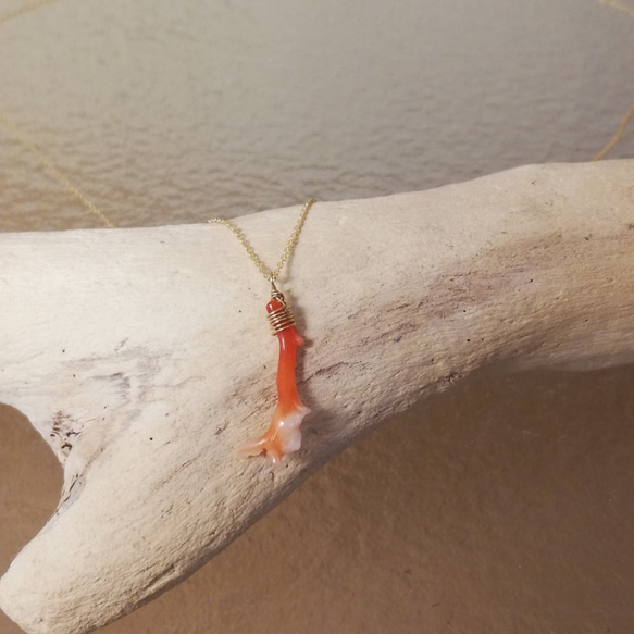 自然形態是獨一無二的。 K18金紅珊瑚項鍊B女款紅珊瑚 第3張的照片
