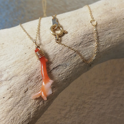 自然形態是獨一無二的。 K18金紅珊瑚項鍊B女款紅珊瑚 第5張的照片