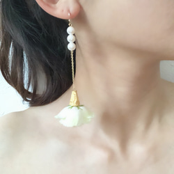 frill rose pierce 1枚目の画像