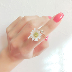 daisy ring♡ 2枚目の画像