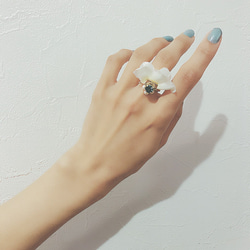 frill ring♡全3色♡ 2枚目の画像