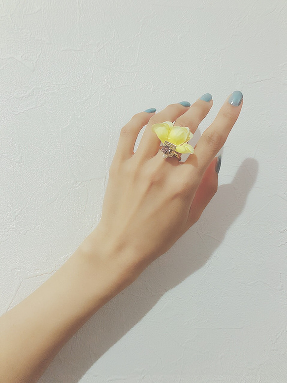 frill ring♡全3色♡ 4枚目の画像