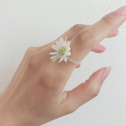 clear ring♡glass flower♡daisy 2枚目の画像