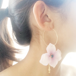 hoop pierce♡love♡ 1枚目の画像