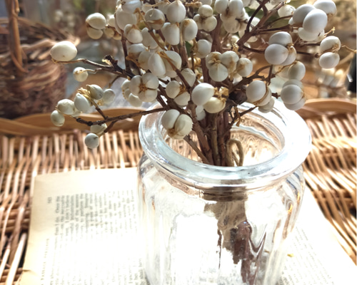 ※専用同梱　ナンキンハゼ　アンティークな色　茶色　スワッグ 0_61b66ed66e99a58b519d6f9f94ec