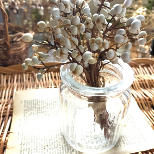 スワッグ ナンキンハゼ スワッグ satochi 通販 11635709｜Creema(クリーマ)