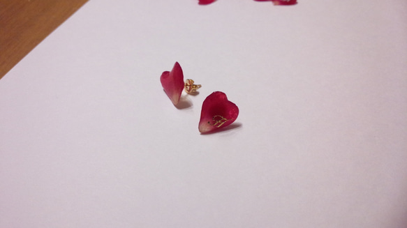 本物のお花　ハート型バラの花びらピアス 再販 1枚目の画像
