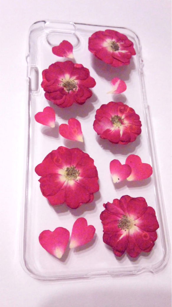 本物のお花　バラのiPhone6 6sケース 2枚目の画像