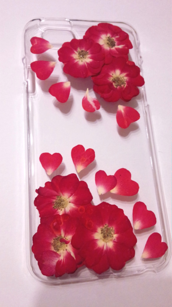 本物のお花　バラのiPhone6 6sケース　再販 2枚目の画像