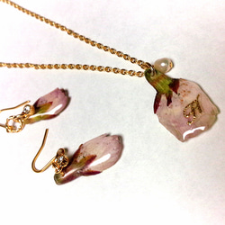 本物のお花　桜の花びらイニシャルネックレス、ピアスセット 2枚目の画像