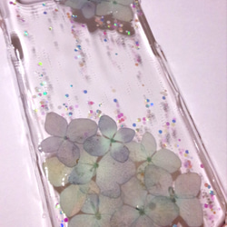 本物のお花　紫陽花のiPhoneケース 4枚目の画像