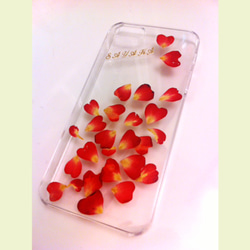 本物のお花　バラの花びらiPhone5　5ｓケース　名前入り再販 1枚目の画像