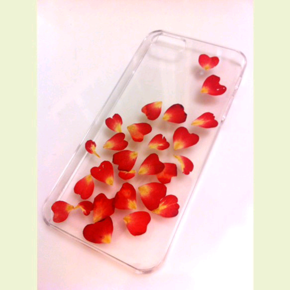 海外発送可能 本物のお花　バラの花びらiPhone ケース名前無し　再販 1枚目の画像