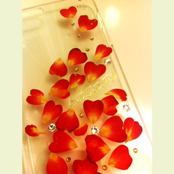 本物のお花 バラの花びらiPhone6、6Ｓ ケース　スワロ 名前入 3枚目の画像