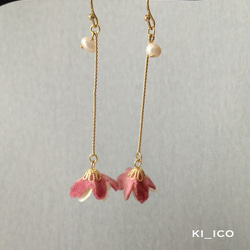 手染めベルベット〜Swan. mouve pink〜ピアス 1枚目の画像