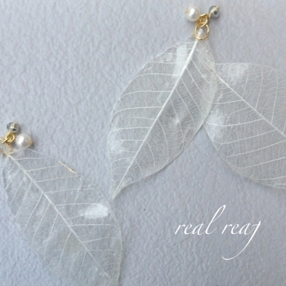 sale!!〜real reaf ホワイト〜イヤリング/ピアス 1枚目の画像