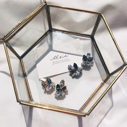 Swarovski Crystal Pierce/Earring 1枚目の画像