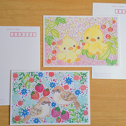 春の果実と鳥物語 ポストカード (４枚セット) 2枚目の画像