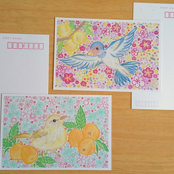 春の果実と鳥物語 ポストカード (４枚セット) 3枚目の画像
