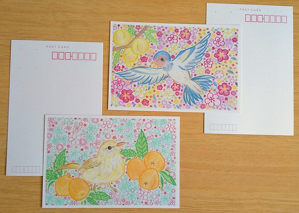 春の果実と鳥物語 ポストカード (４枚セット) 3枚目の画像