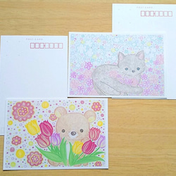 春のお花便り (ポストカード ４枚セット) 2枚目の画像