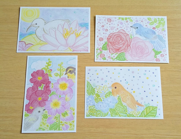 夏のお花と鳥便り (ポストカード・４枚セット) 【暑中見舞い・残暑見舞い・絵はがき】 1枚目の画像