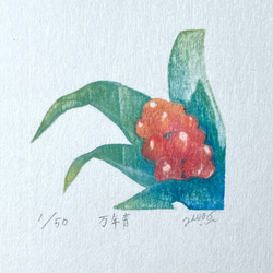 四季を彩る花版画　縁起のいい　万年青　ホワイト額　 3枚目の画像