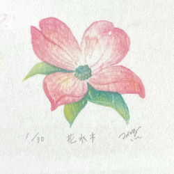 四季を彩る花版画　ハナミズキ　 1枚目の画像